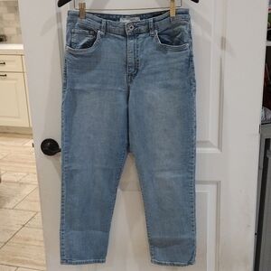 Ella Moss. High Waist Straight light Wash Jeans. Size 12/31